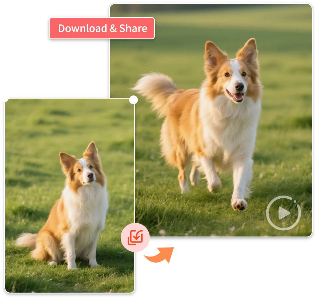 Animate Your Pet with One Shot Video Generator
