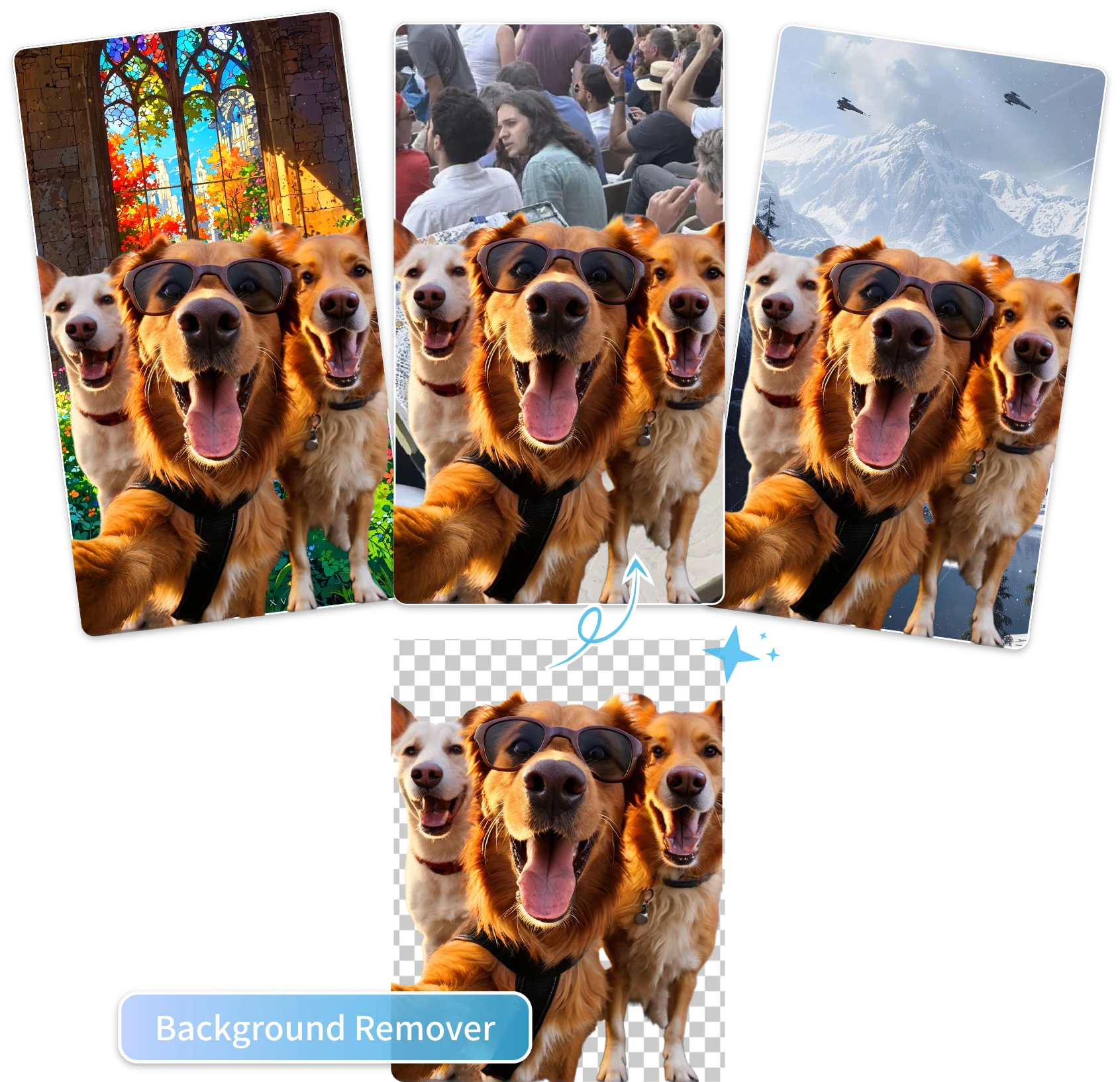 Professional AI Background Remover Online for Flawless Image Editing