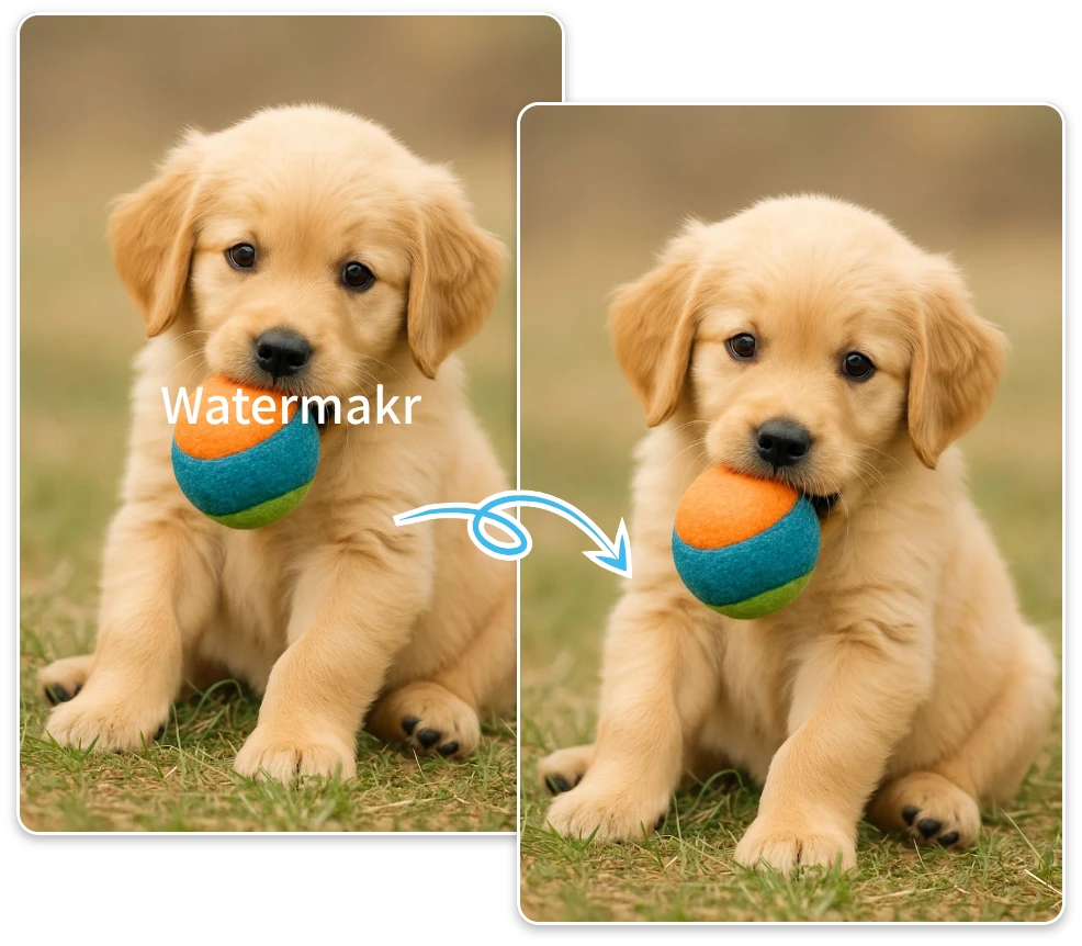 Erase Website Download Watermarks Easily and Quickly